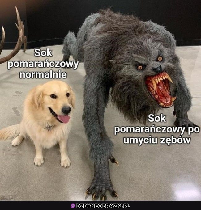 Soczek po myciu zębów