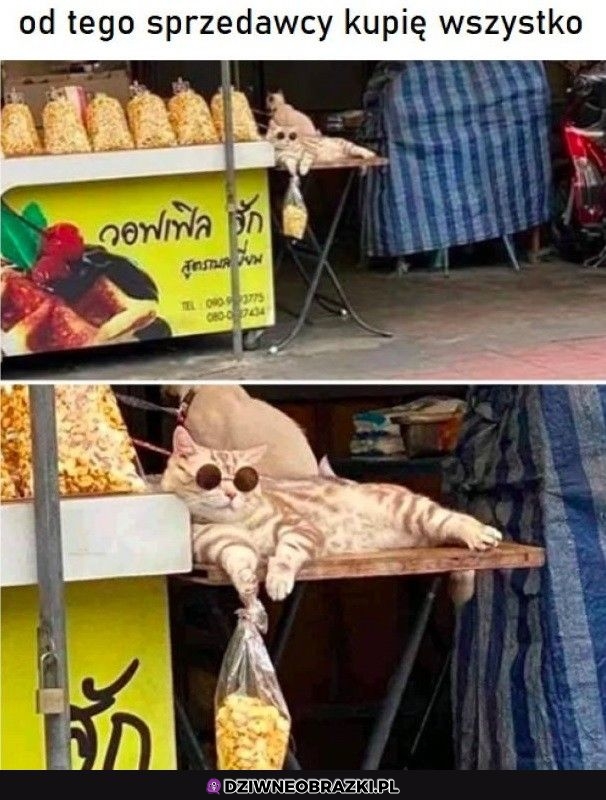 Nawet zaprawę murarską