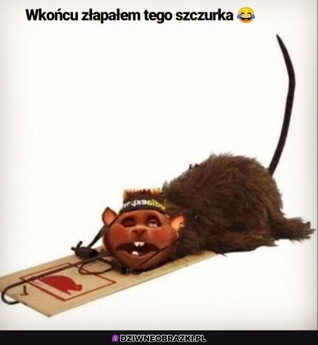 Nareszcie
