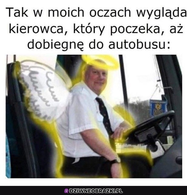 Anioł nie kierowca