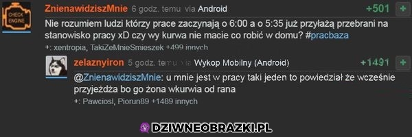 Też bym tak robił