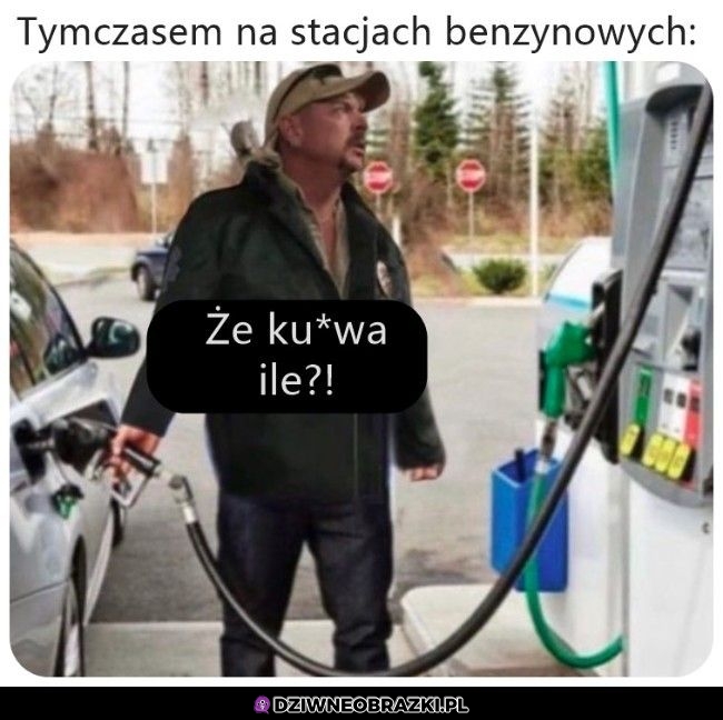 Dokładnie tak