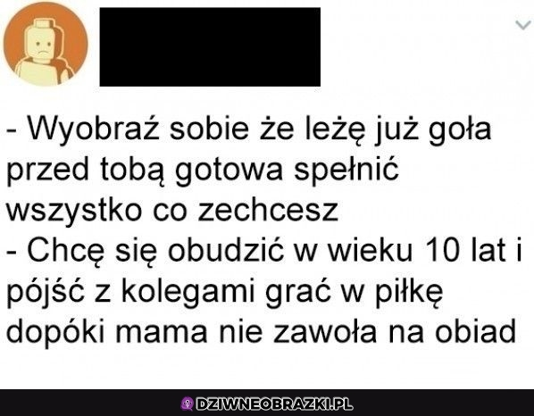Chciałbym, bez kitu chciałbym