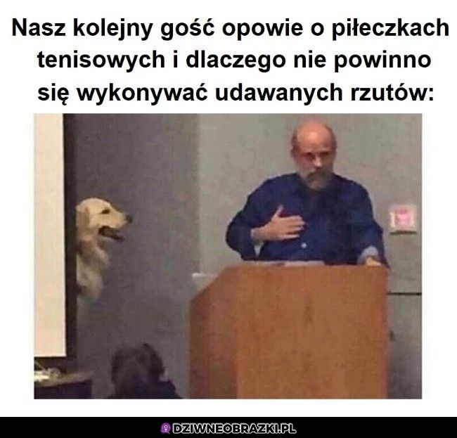 Nasz kolejny gość