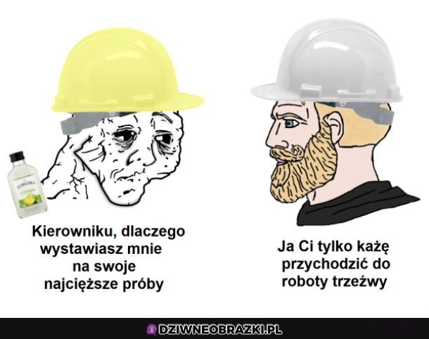 Kierowniku...