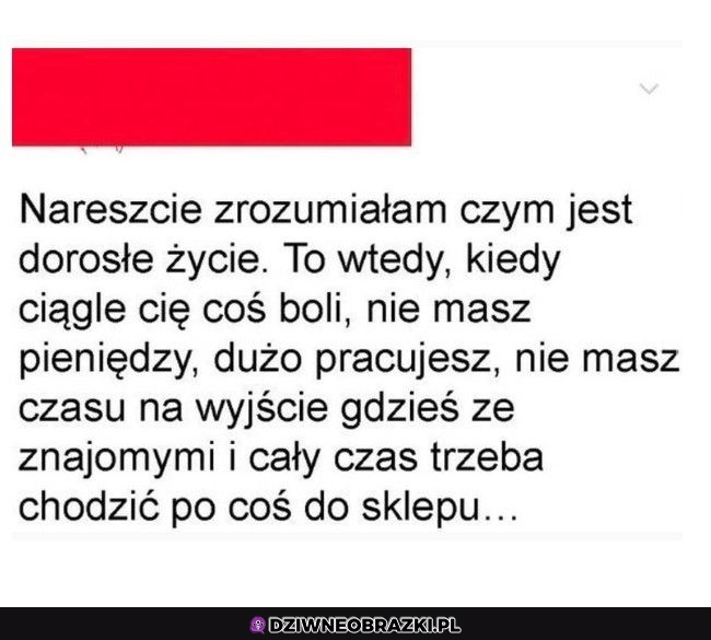A więc to jest doroslość