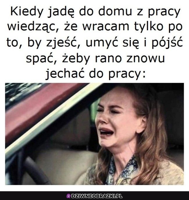 Ten moment