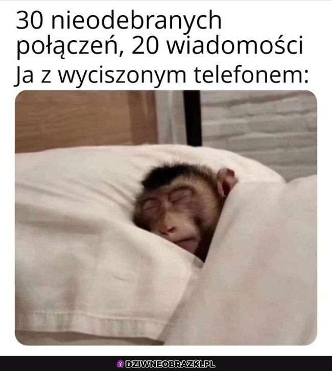 Kiedy smacznie śpisz...