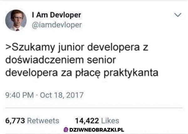 Developerzy