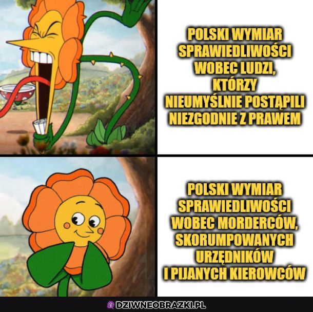 Polski wymiar sprawiedliwości