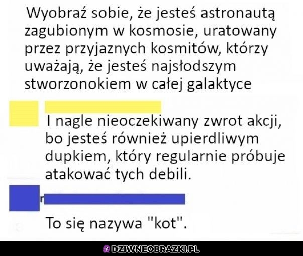 Już takie mamy