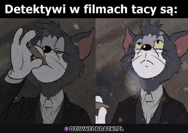 Detektywi