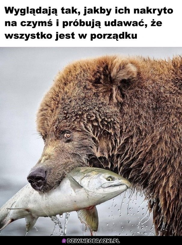 Tak wyglądają