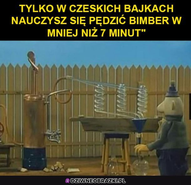 Czeskie bajki