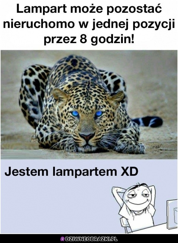 To ja