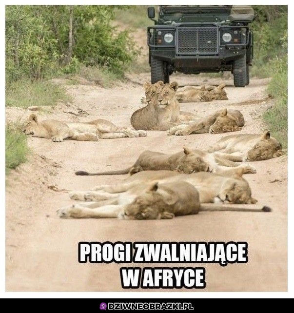 Progi zwalniające Progi zwalniające