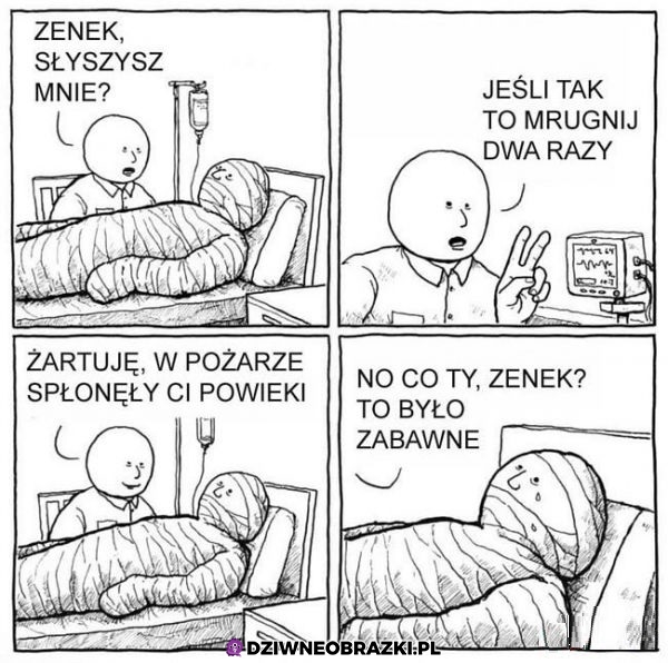 Zenek