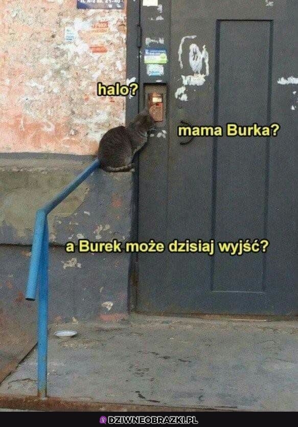 A może wyjść?