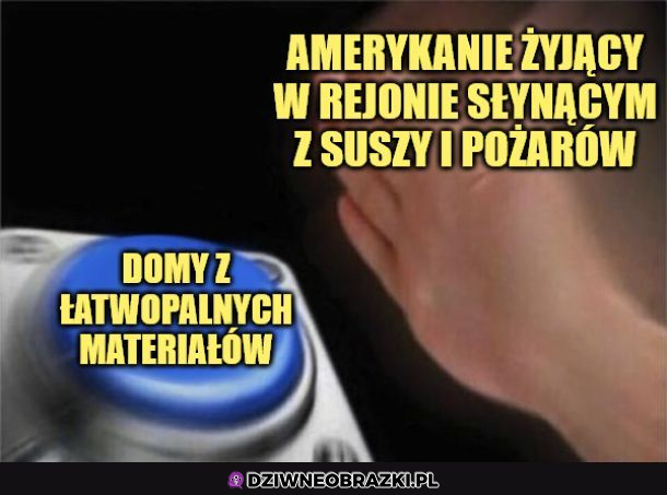 Amerykanie...