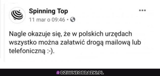 Niesamowite