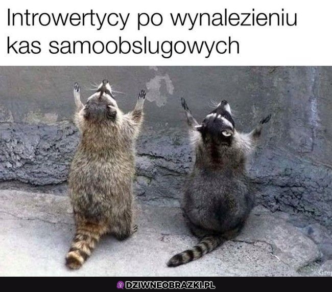 Wspaniały wynalazek