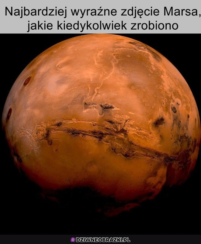 Elegancki