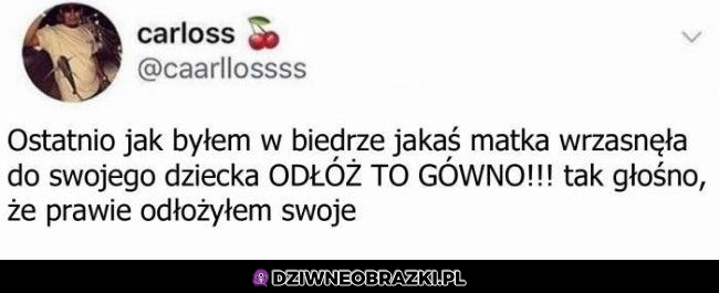 Autorytet przemówił