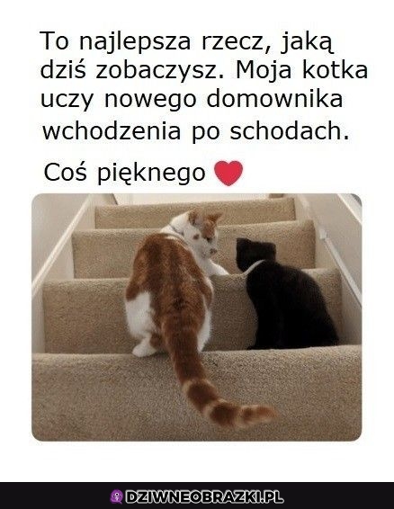 Ważna lekcja