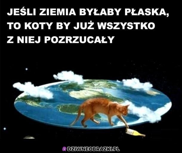 Tak by było