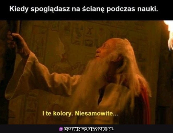 Ten moment
