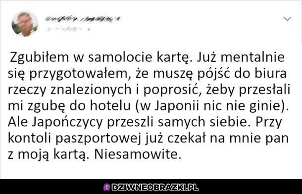 Zguba w Japonii