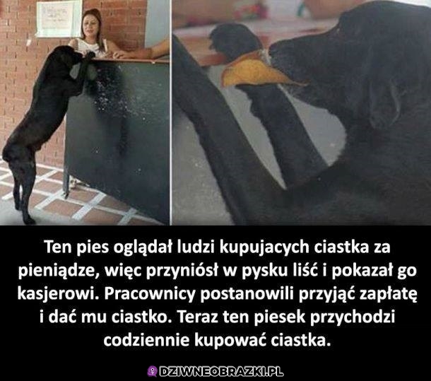 Sprytny