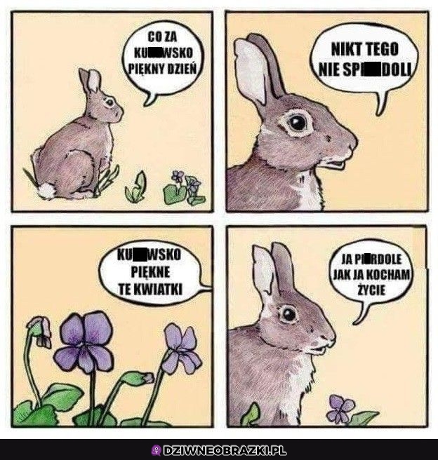 Ale to jest dzień