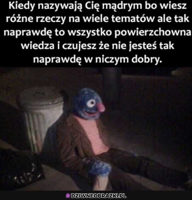 Czasem każdy czuje się głupi 