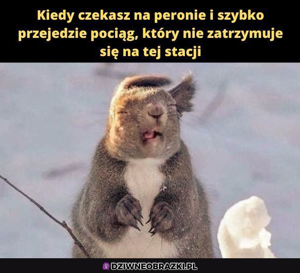 Coś nie poszło zgodnie z planem