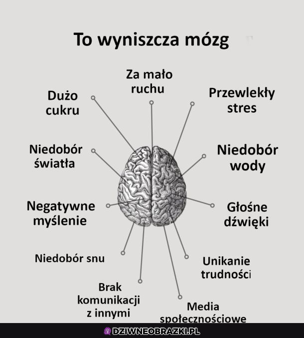 Co wyniszcza mózg?