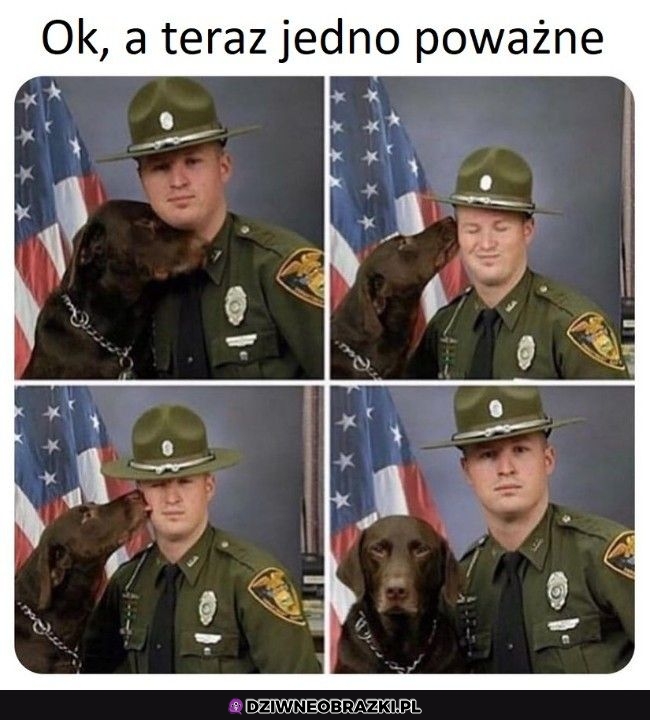Pozowanko