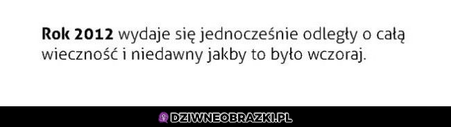 Bez kitu