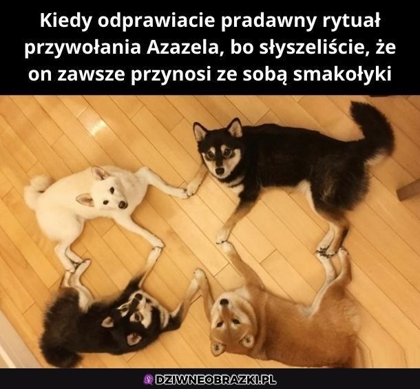 Pradawny rytuał