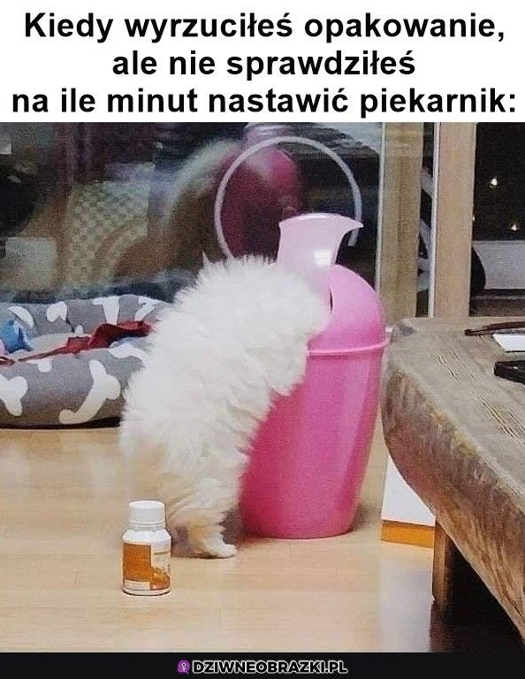 Zawsze to samo