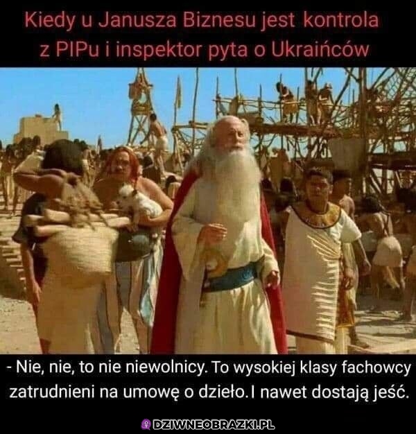 Ukraińcy na robocie