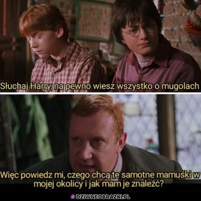 Harry pomóż