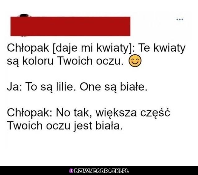 Wszystko się zgadza