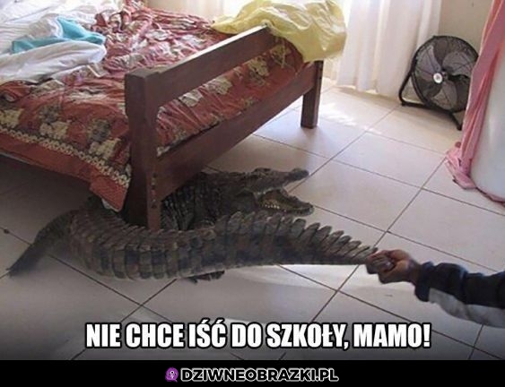 Nie chcę tam iść!