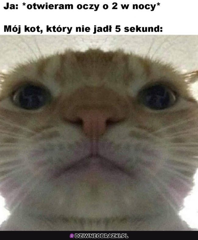 Ten moment