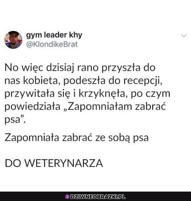 Zapominalska