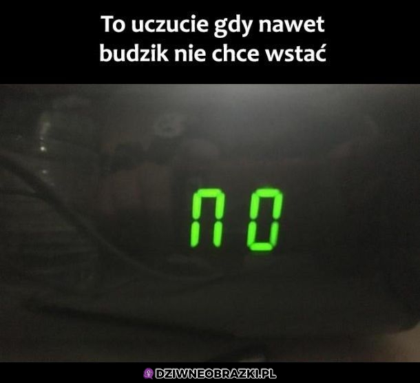 Nawet on nie chce wstawac