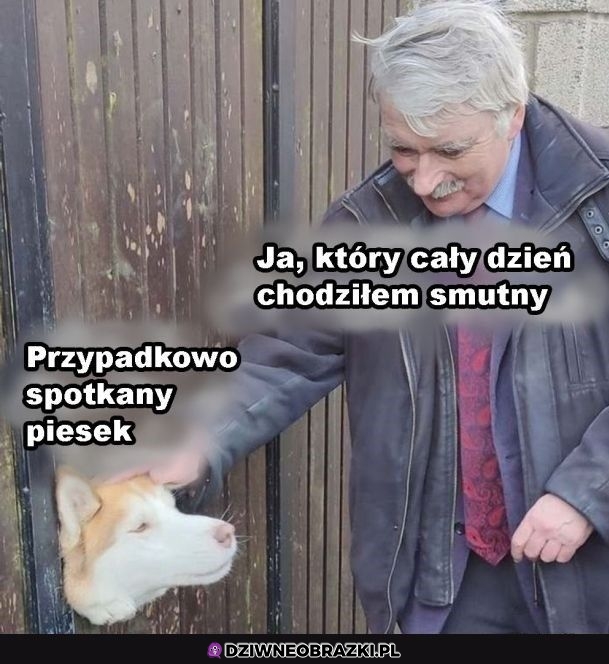 I od razu dzień lepszy