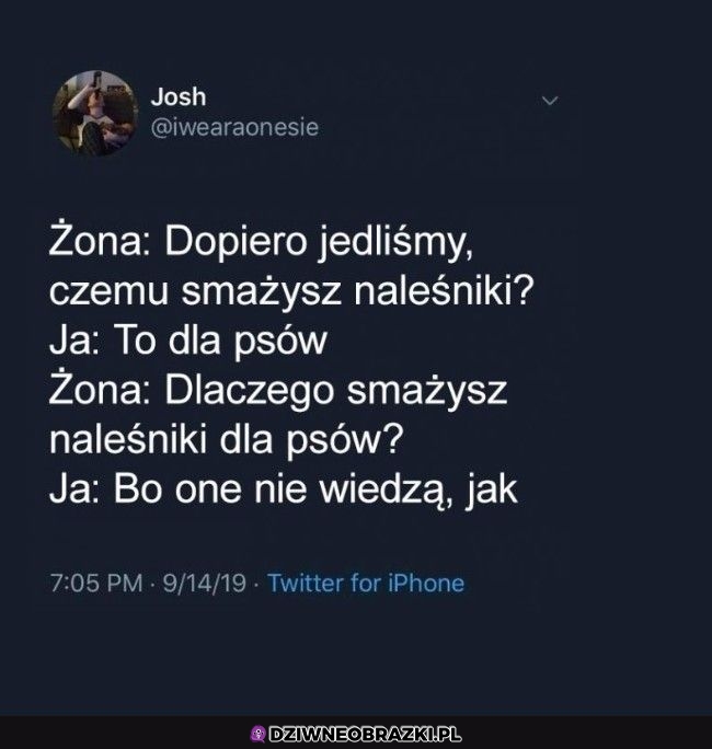 Wszystko logiczne