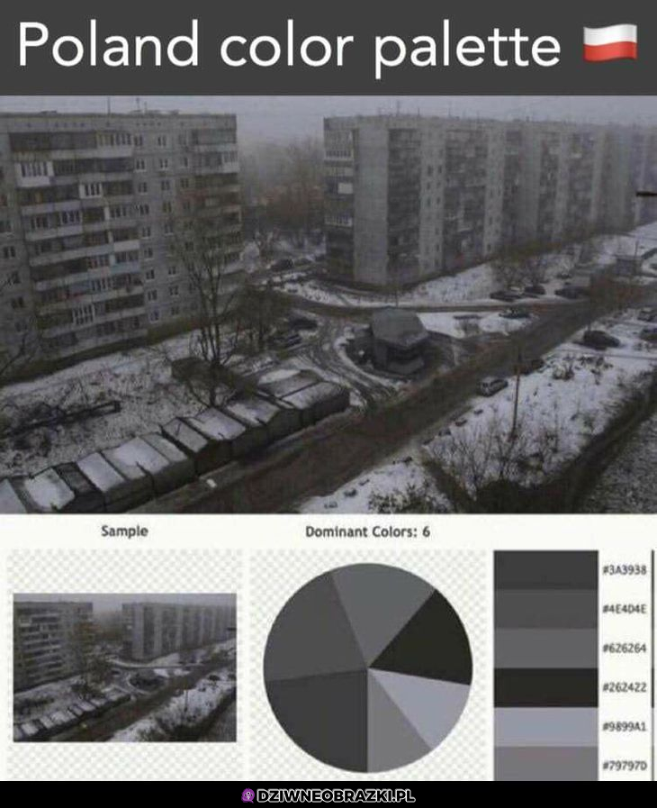 Paleta kolorów w Polsce